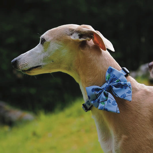 Blueberry Sailor Bow