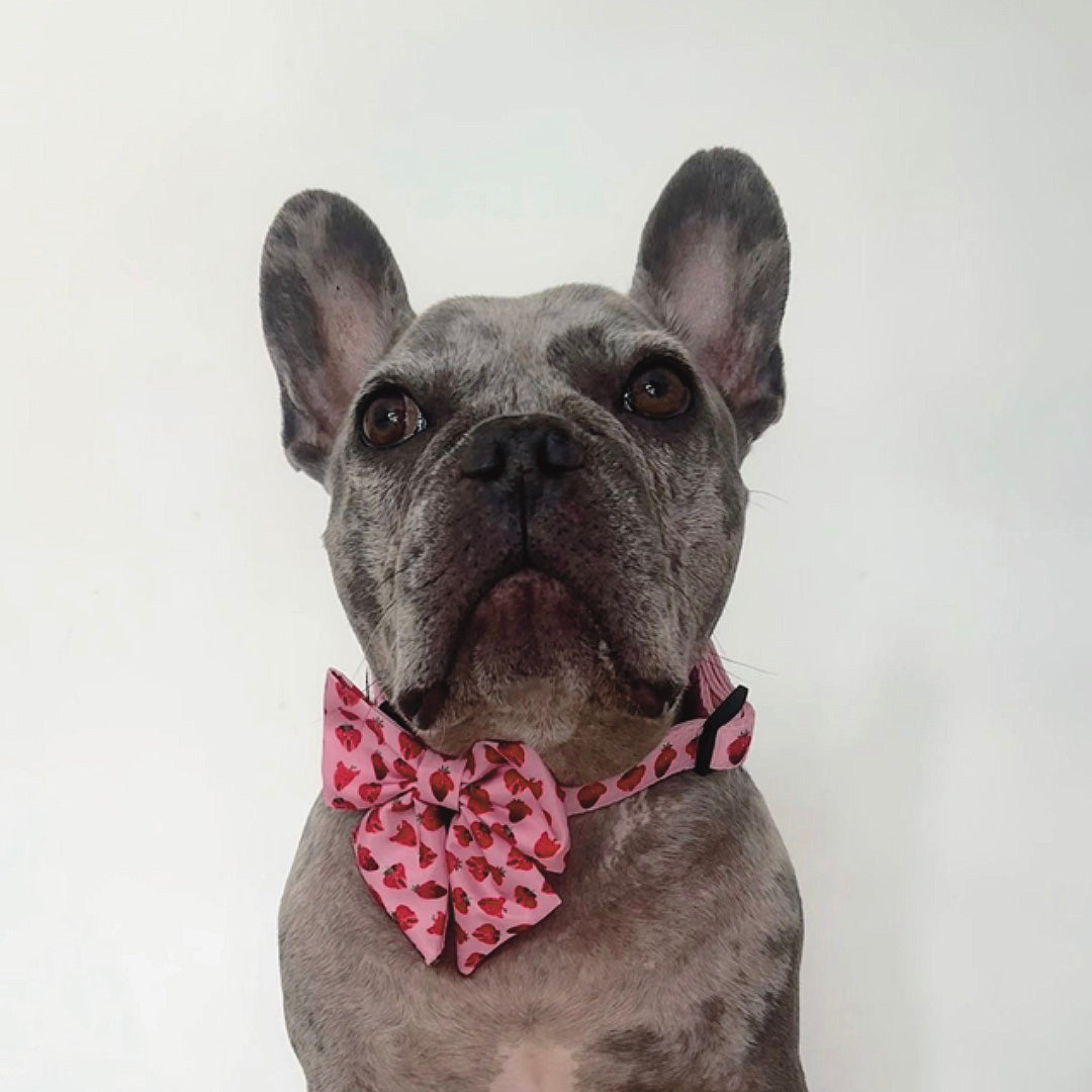 Strawberry Sailor Bow