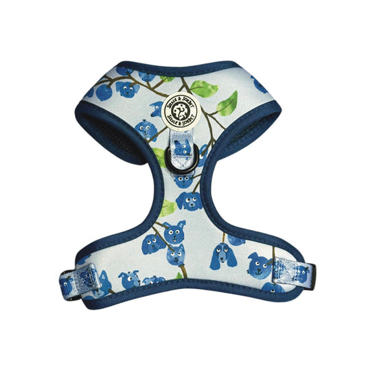Blueberry Adjustable Harness