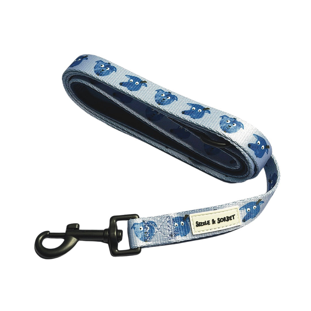 Blueberry Dog Lead