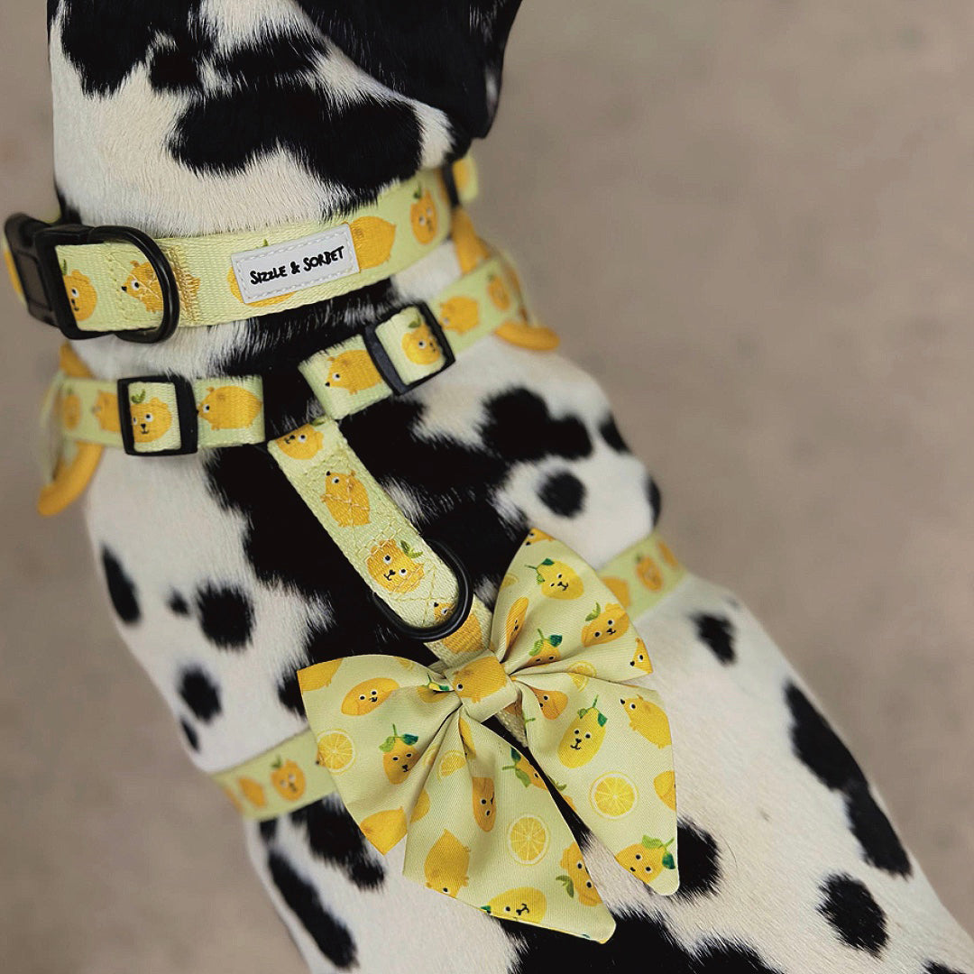 Lemon Adjustable Harness