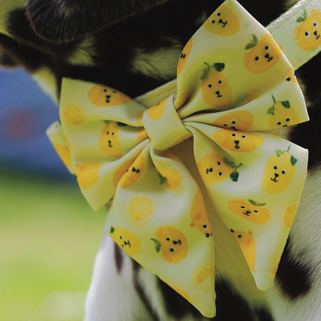 Lemon Sailor Bow