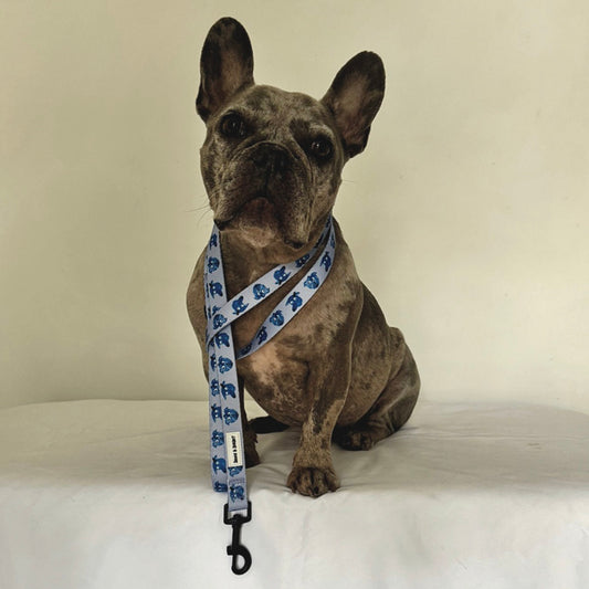 Blueberry Dog Lead