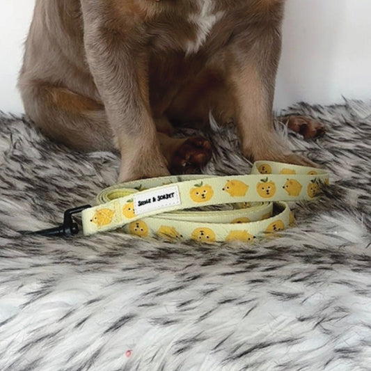 Lemon Dog Lead