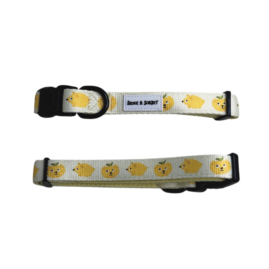 Lemon Adjustable Dog Collar