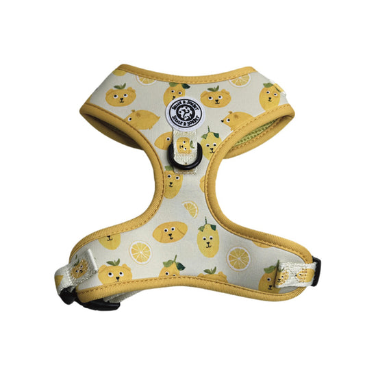 Lemon Adjustable Harness