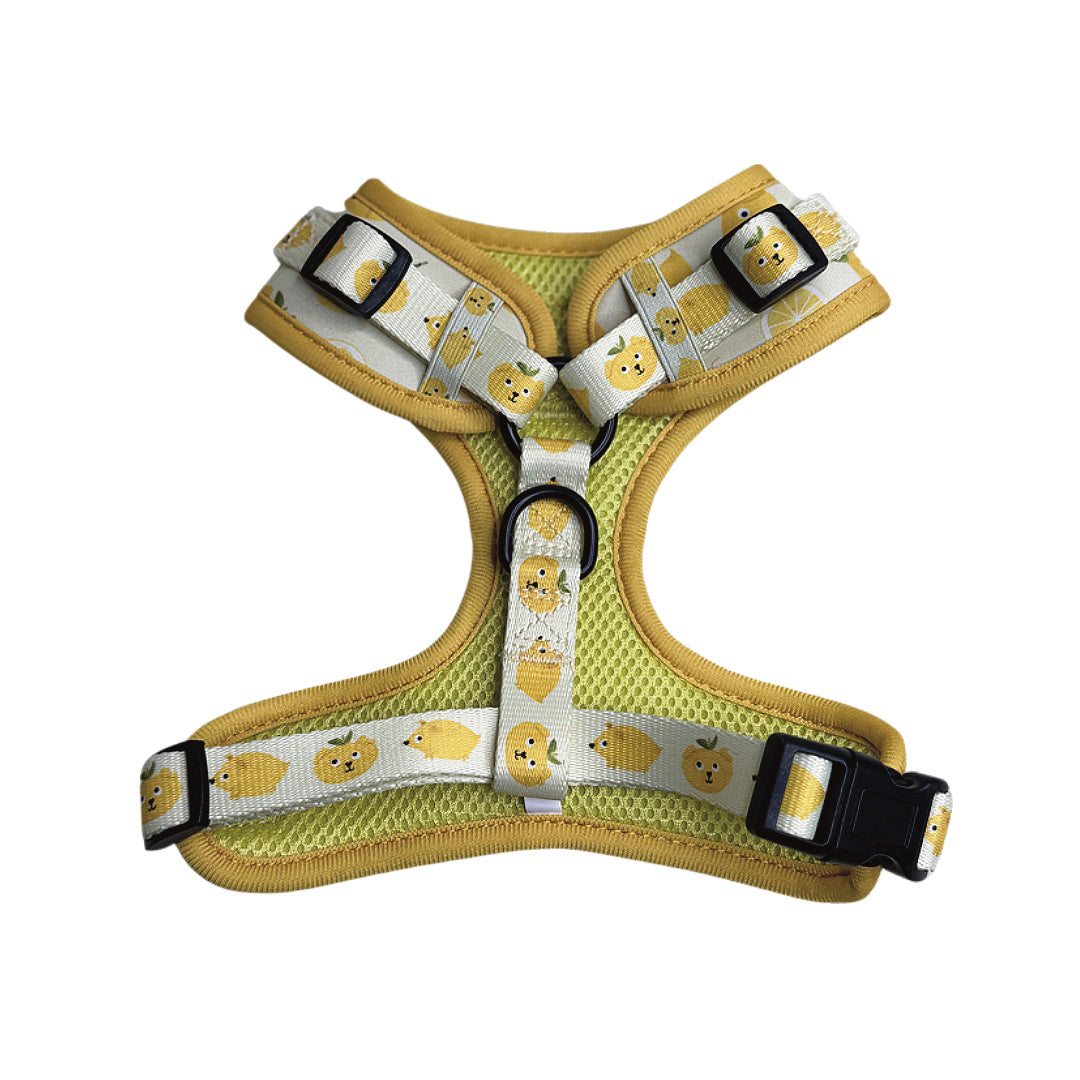 Lemon Adjustable Harness