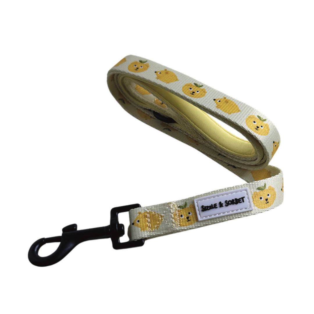 Lemon Dog Lead