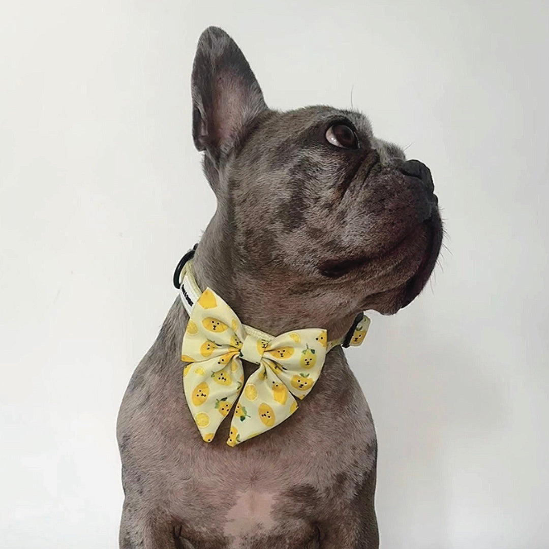 Lemon Sailor Bow