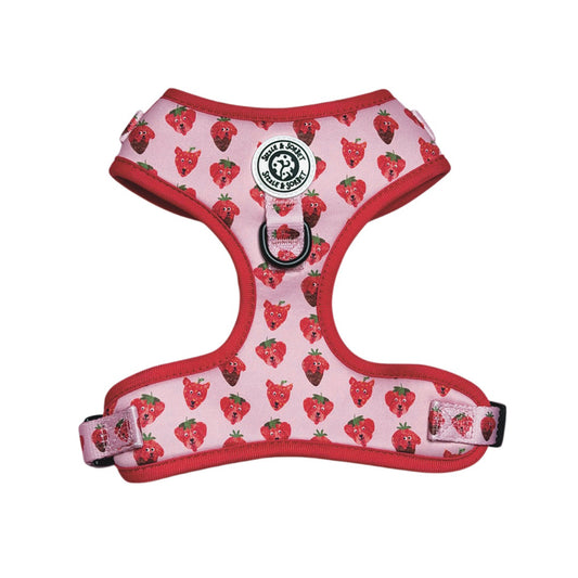 Strawberry Adjustable Harness