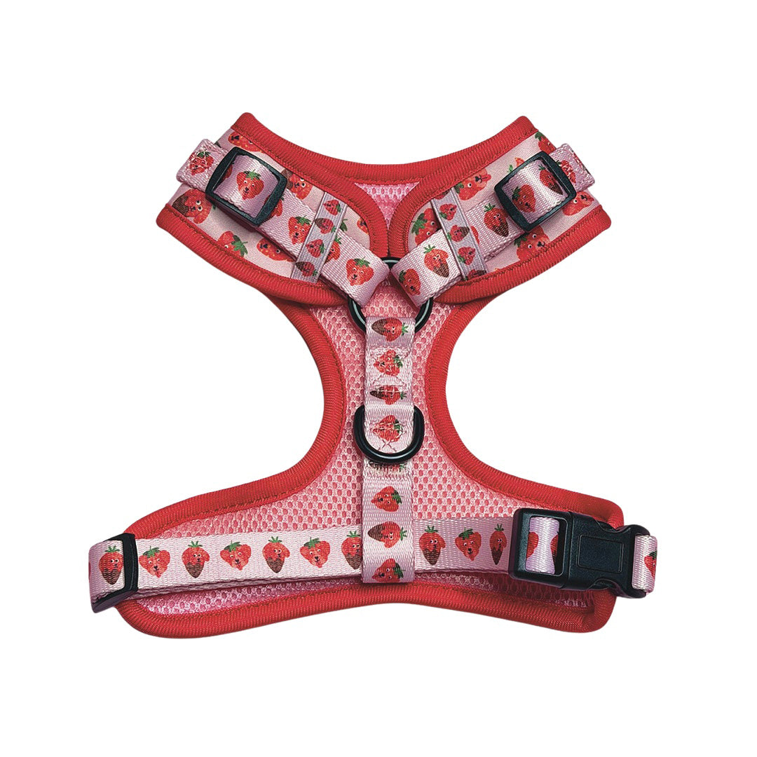 Strawberry Adjustable Harness