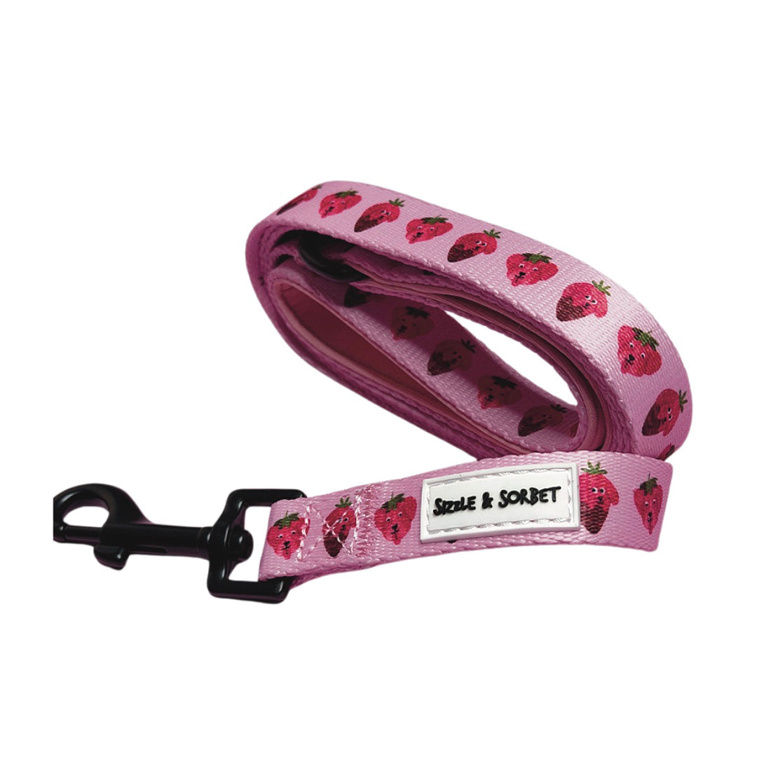 Strawberry Dog Lead