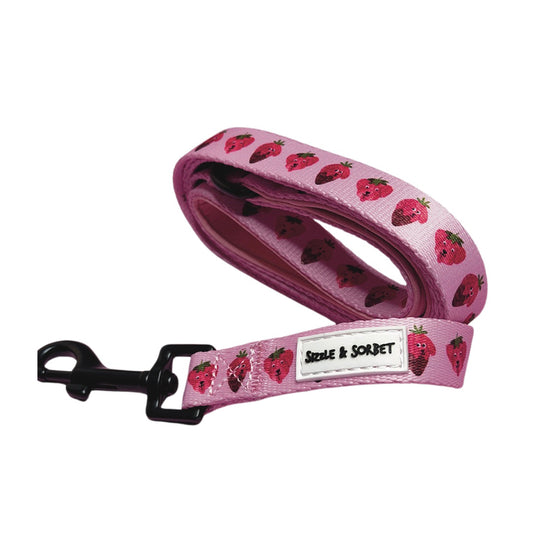 Strawberry Dog Lead