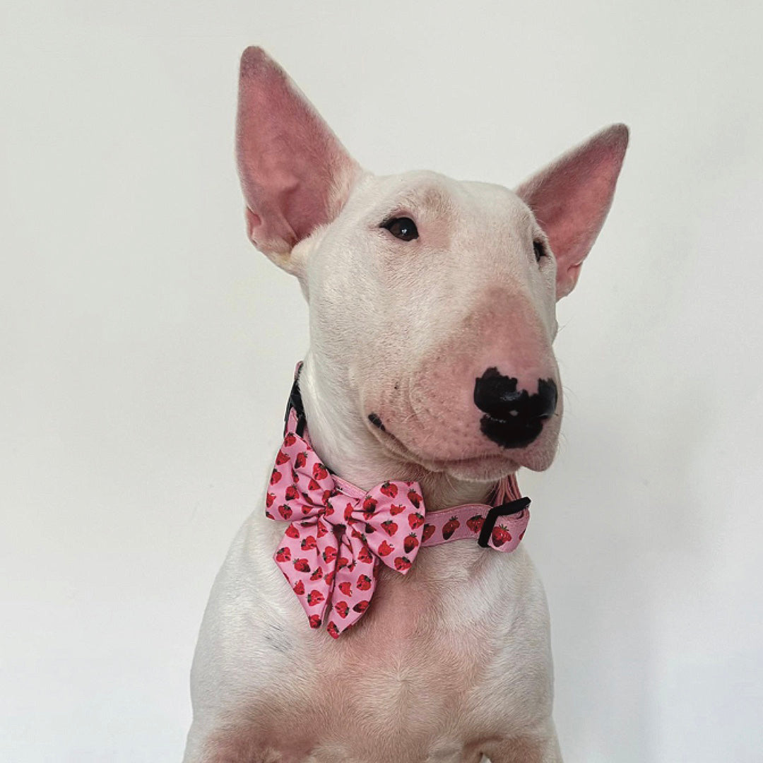 Strawberry Sailor Bow