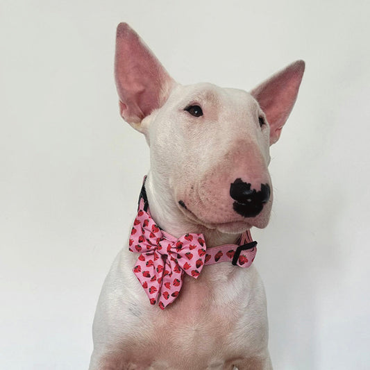 Strawberry Sailor Bow