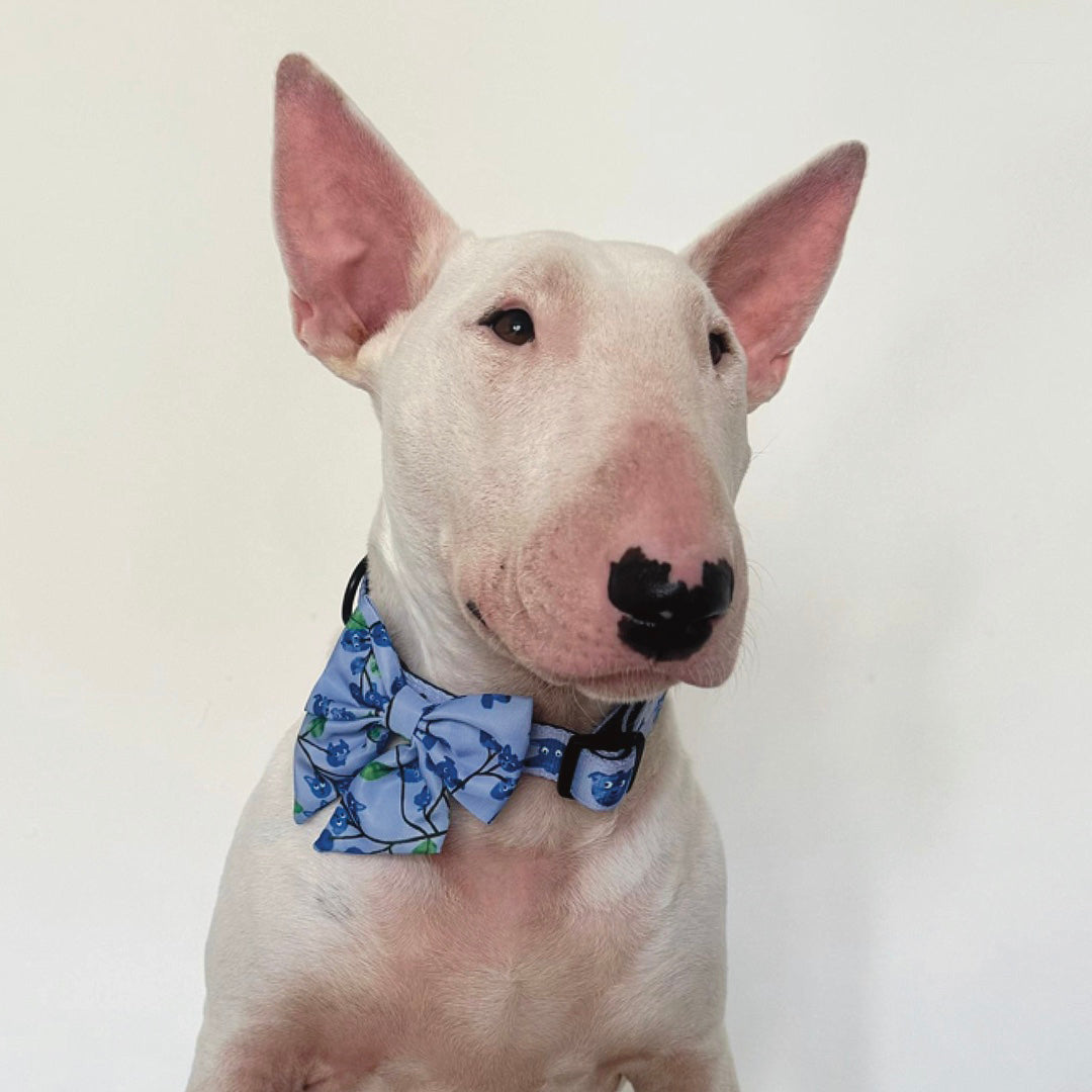 Blueberry Sailor Bow
